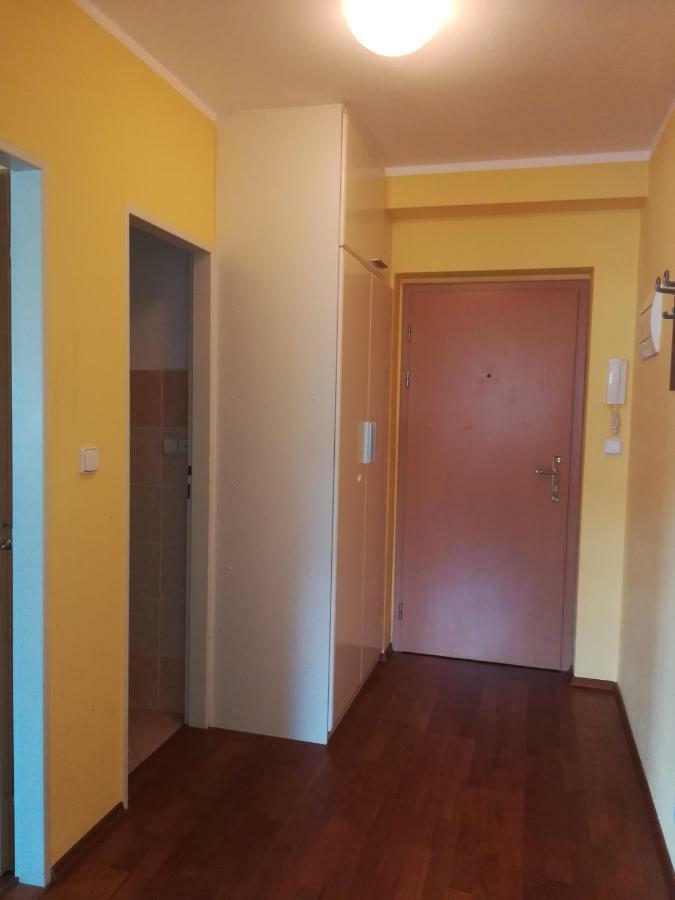 Apartments Rokytka 308 & 405 Rokytnice nad Jizerou Dış mekan fotoğraf